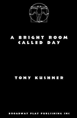 A Bright Room Called Day Book Cover