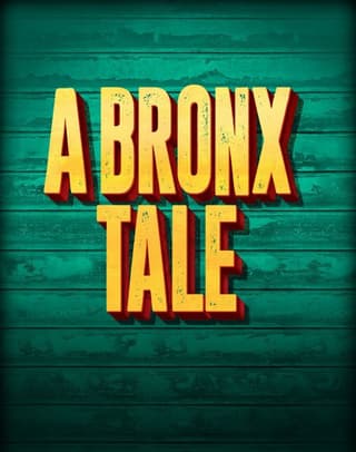 A Bronx Tale, The Musical Book Cover