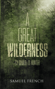 A Great Wilderness Book Cover