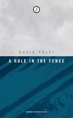 A Hole In The Fence Book Cover
