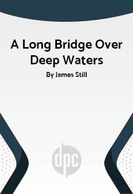 A Long Bridge Over Deep Waters Book Cover