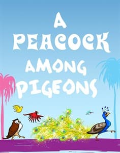 A Peacock Among Pigeons Book Cover