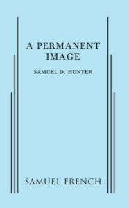 A Permanent Image Book Cover