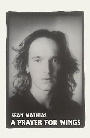 A Prayer For Wings Book Cover