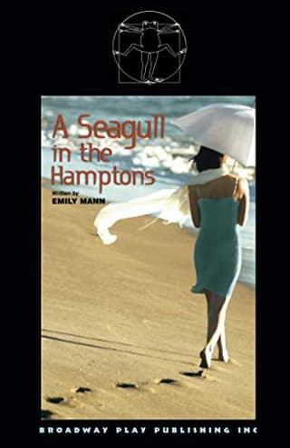 A Seagull in the Hamptons Book Cover