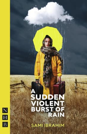 A Sudden Violent Burst of Rain Book Cover
