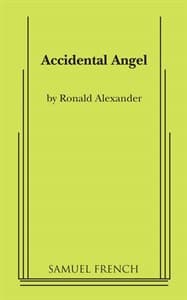 Accidental Angel Book Cover