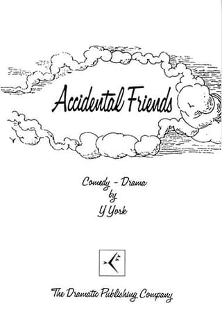 Accidental Friends Book Cover