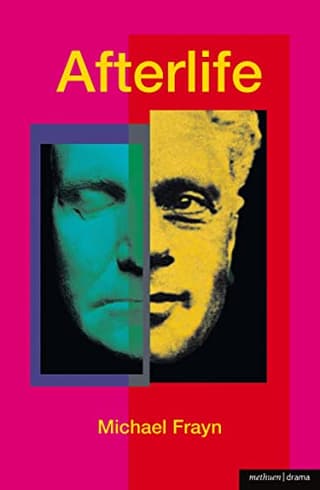 Afterlife Book Cover