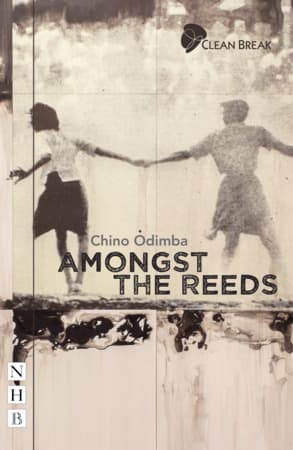 Amongst the Reeds Book Cover