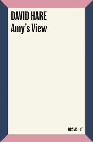 Amy's View Book Cover