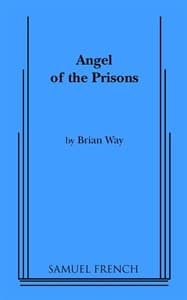 Angel of the Prisons Book Cover
