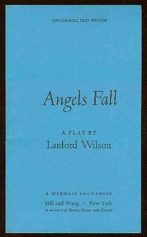 Angel's Fall Book Cover
