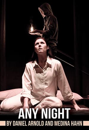 Any Night Book Cover