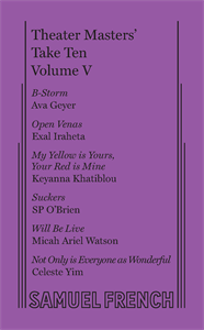 B-Storm Book Cover