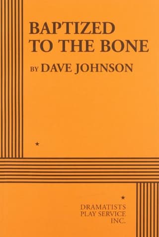 Baptized To The Bone Book Cover