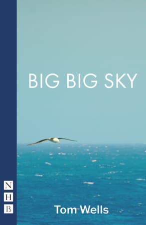 Big Big Sky Book Cover
