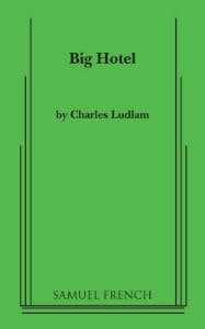 Big Hotel Book Cover