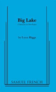Big Lake Book Cover