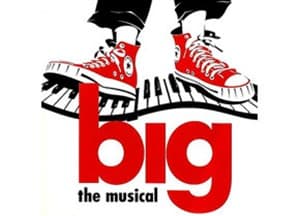 Big, The Musical  Book Cover