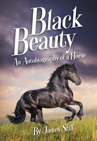 Black Beauty Book Cover