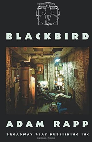 Blackbird Book Cover
