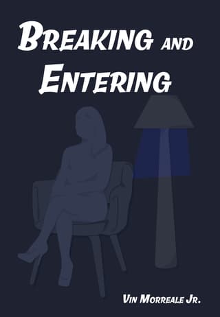 Breaking and Entering Book Cover