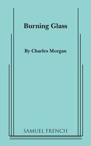 Burning Glass Book Cover