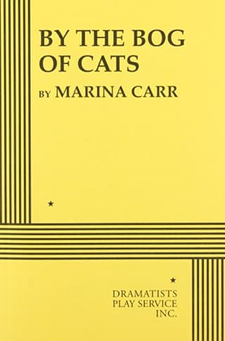 By The Bog Of Cats Book Cover