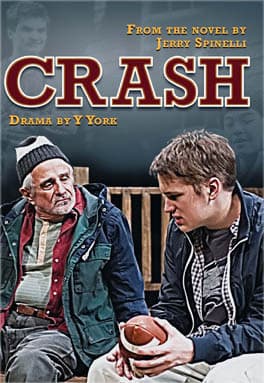 Crash Book Cover