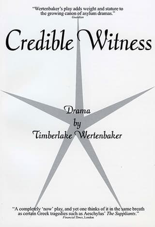 Credible Witness Book Cover