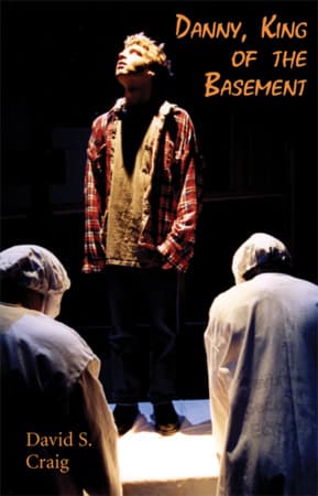 Danny, King of the Basement Book Cover