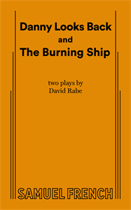 Danny Looks Back Book Cover