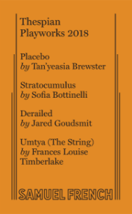 Derailed Book Cover