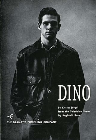 Dino Book Cover