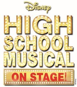 Disney's High School Musical Book Cover