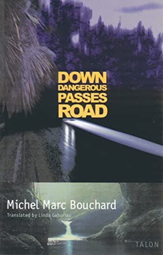 Down Dangerous Passes Road Book Cover