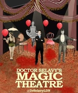 Dr. Selavy's Magic Theatre Book Cover