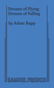 Dreams of Flying Dreams of Falling Book Cover