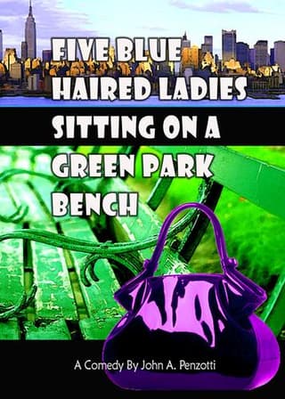 Five Blue Haired Ladies Sitting on a Green Park Bench Book Cover