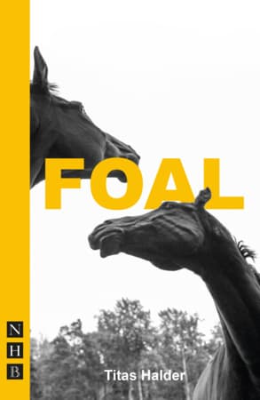 Foal Book Cover