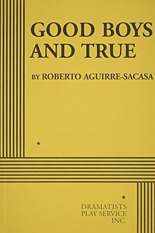 Good Boys And True Book Cover
