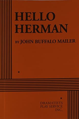 Hello Herman Book Cover