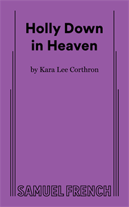 Holly Down in Heaven Book Cover