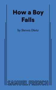 How a Boy Falls Book Cover