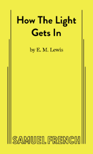 How The Light Gets In Book Cover
