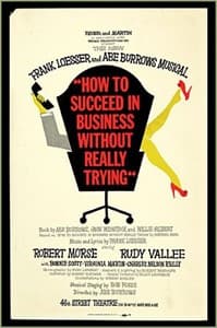 How To Succeed...Trying  Book Cover