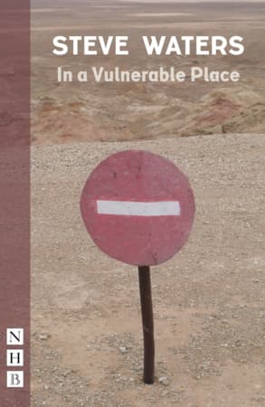 In a Vulnerable Place Book Cover