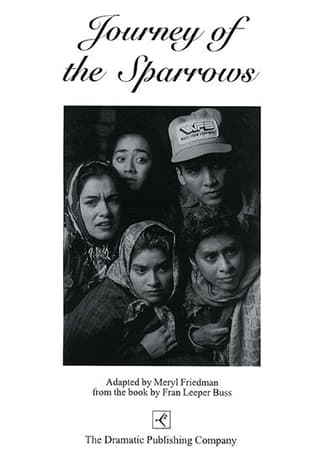 Journey of the Sparrows Book Cover