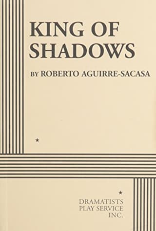 King Of Shadows Book Cover